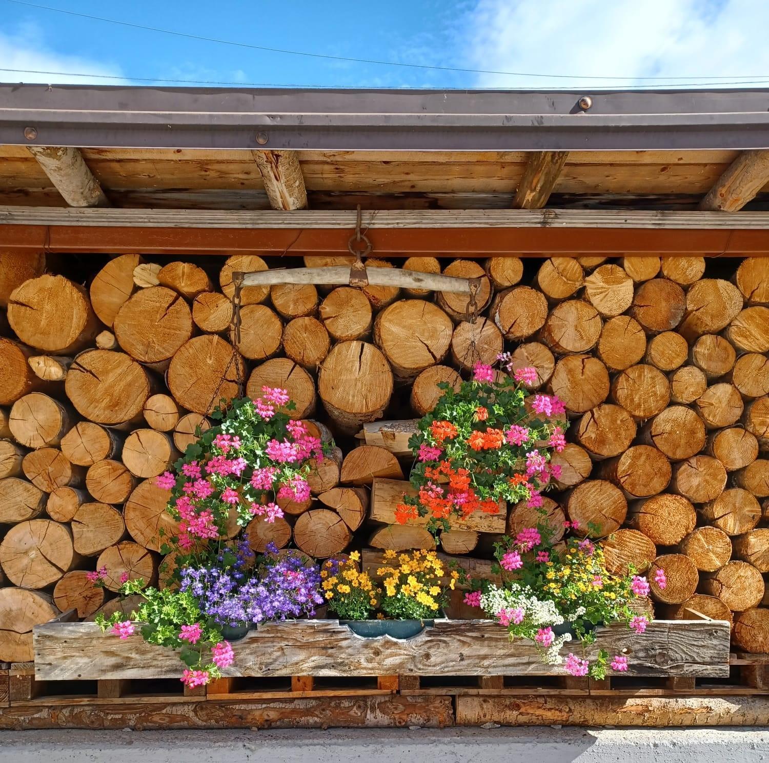 Locanda Da Pierina Santo Stefano Di Cadore Extérieur photo